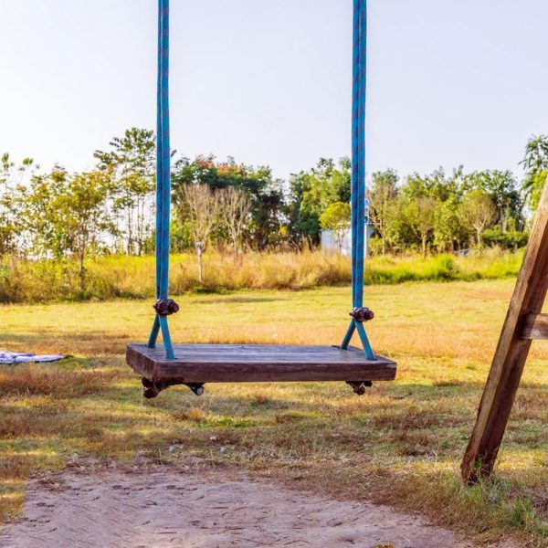 71y3vKF73LL._AC_SL1001 Braided Polyester Arborist Rigging Rope (3/8 inch X 50 feet) High Strength Outdoor Rope for Rock Climbing Hiking Camping Swing, Blue/Red