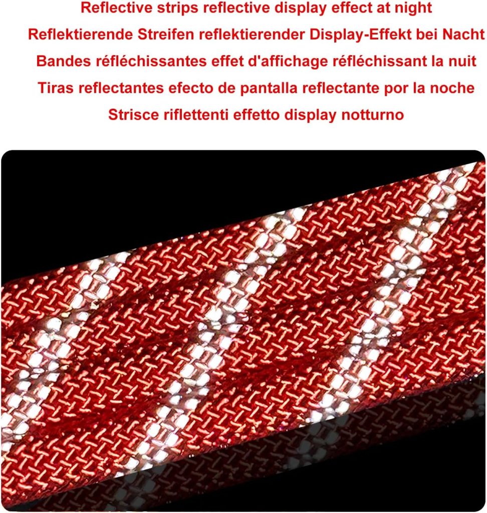 3/8 in (10mm) x 16 ft (5Meter) Nylon Static Rock Climbing Rope Explore ...