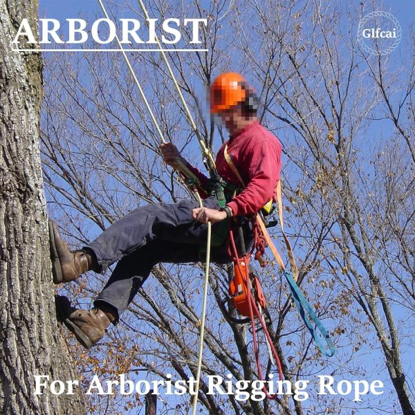 Arborist Rope 1/2 in x 150 Ft Black Tree Climbing Rope Polyester Braided Arborist Climbing Rope 1/2 inch 48 Strands 150 Feet for Various Outdoor Applications Construction Climbing Swing Sailing