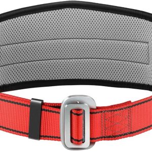 71DY0BleoLS._AC_SL1500 Safety Climbing Belts, Positioning Climbing Belt with Waist Pad and 2 D Rings, Safety Belt Kit Personal Portable Protective Equipment