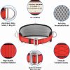 Safety Climbing Belts, Positioning Climbing Belt with Waist Pad and 2 D Rings, Safety Belt Kit Personal Portable Protective Equipment