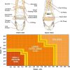 Demon Fall Protection Comfortable Safety Harness (OSHA/ANSI PPE)