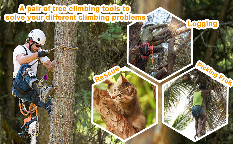 Tree climbing gear tool for Climbing Trees