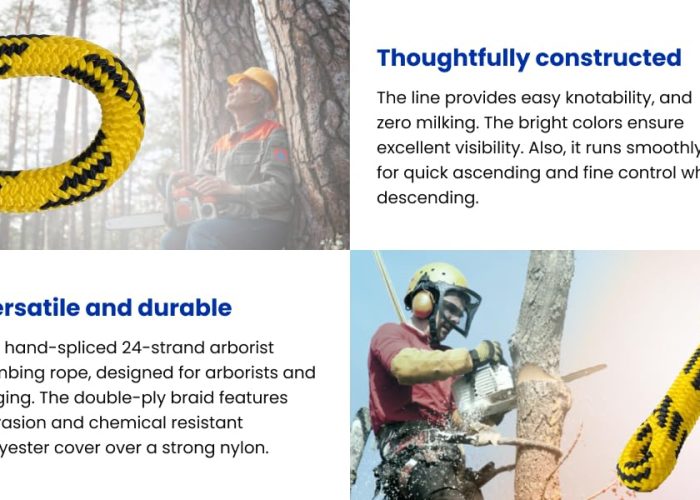 f297a9ad-1dad-440a-a4b1-67982ecad095.__CR70970600_PT0_SX970_V1___